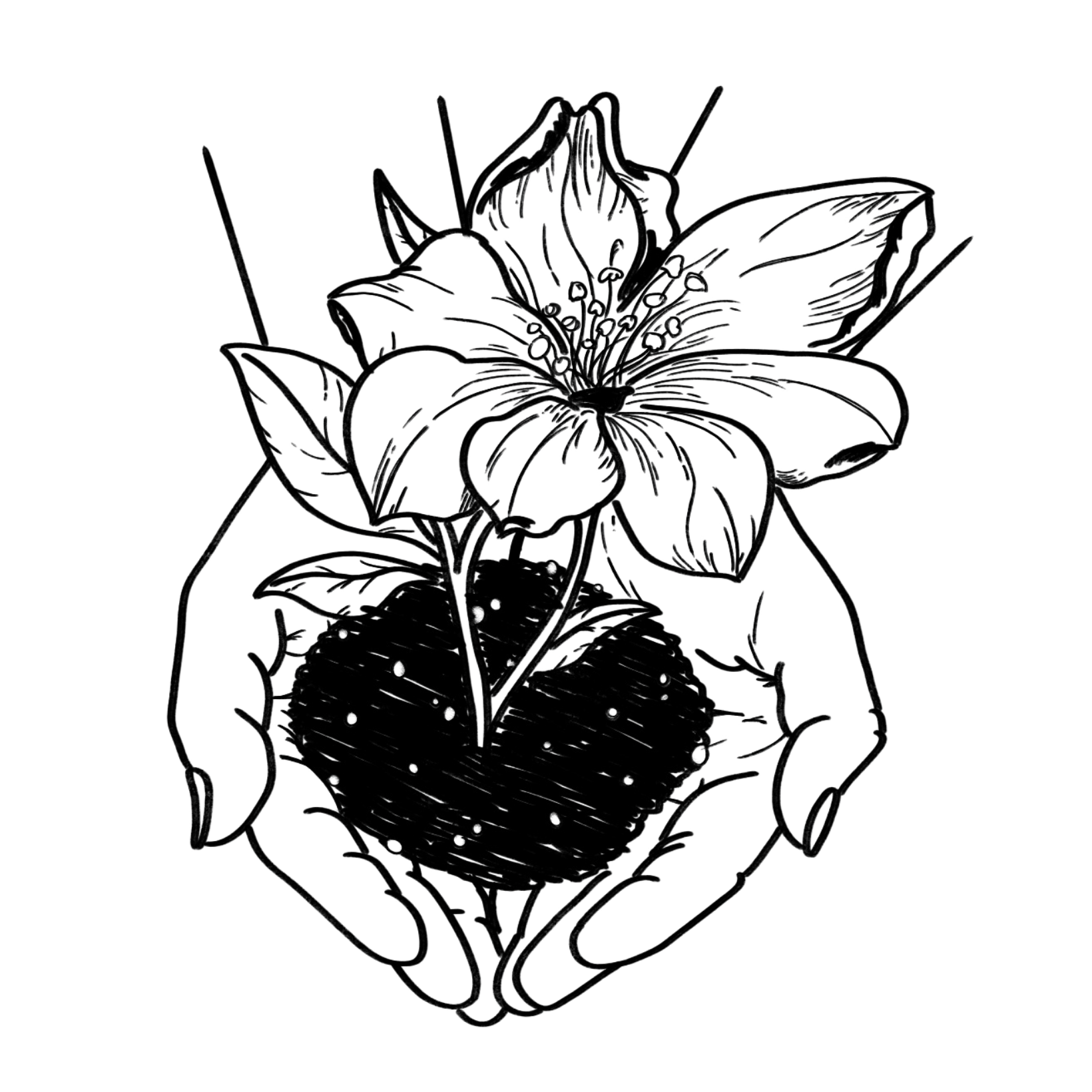 Half Step Camp 2026 - logo